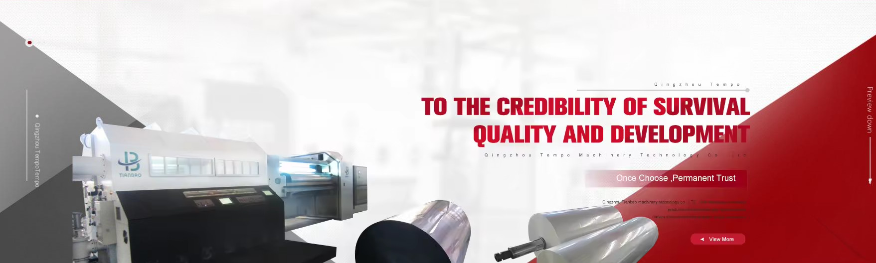 qualité Film métallisé en PET usine